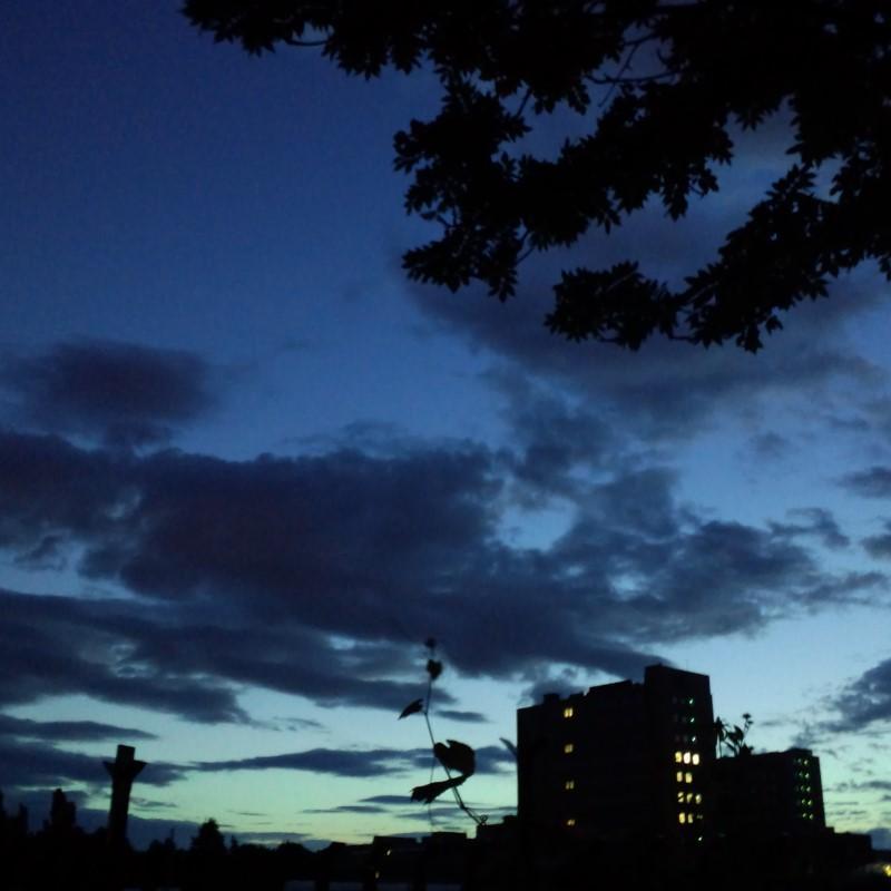 北海道大学  劇団しろちゃん　unit has been