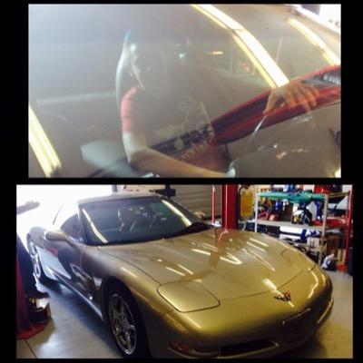 gobears123's profile picture. 