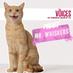 Profile Picture of TheVoicesMrWhiskers (@MrWhiskersVoice) on Twitter