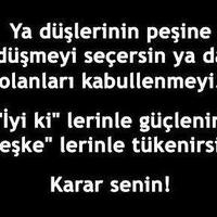 Zeren Şimşek (@zrn_smsk) 's Twitter Profile