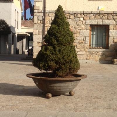 miembrero's profile picture. 