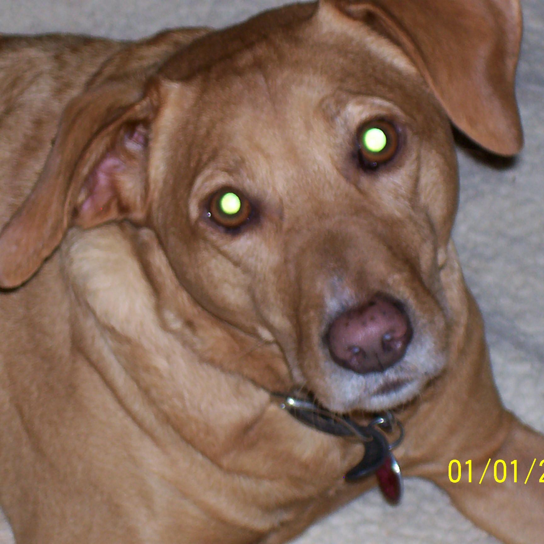 rebeccastewart's profile picture. 