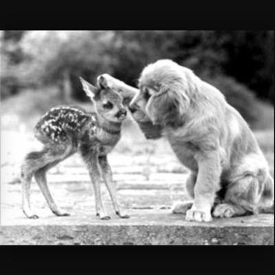 Kindness is the wrench to unlocking eternal happiness. Kindness is not tangible, kindness is the butter of the universe in the forbidden cave of wisdom-M. Damon