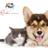reikifurbabies's profile image