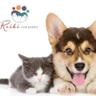 reikifurbabies's profile picture. Usui Reiki Master, holistic health pets, healing for animals, https://t.co/10DluufYi7