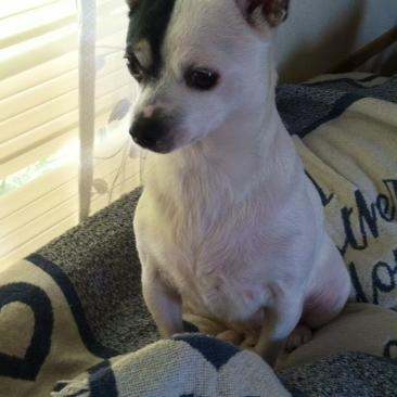 attaboybarriers's profile picture. 