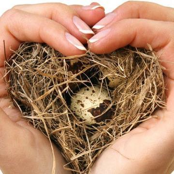 MentalGran's profile picture. 