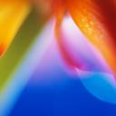 Don Haughton - @Tealkin - Twitter