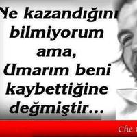 Adile Yılmaz (@adl_ylmz) 's Twitter Profile
