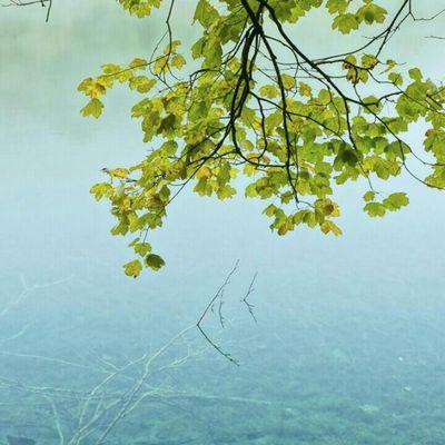 KuklovaAk's profile picture. 