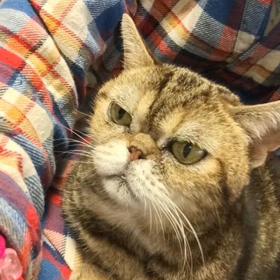 優さんのプロフィール画像
