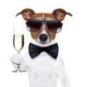 MORFEO (@02ffd06dcde1406) Twitter