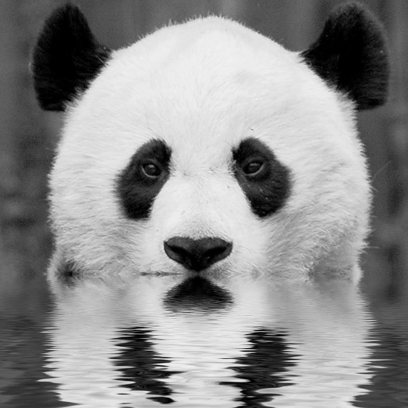 NoonerzVision's profile picture. 