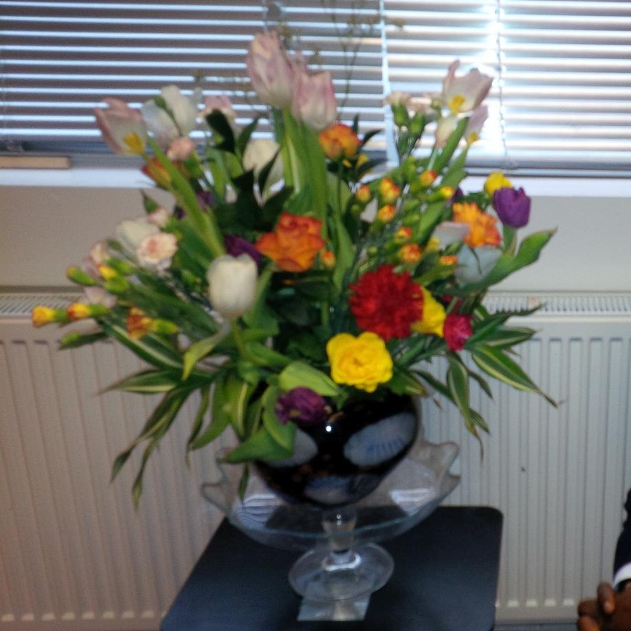 healthandmusic's profile picture. Vocalist/Singer, Educationist, Teacher, Author - an expert author at Ezine Articles. Worship Artist; Lover of MUSIC.