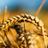 yahya_7272's profile image