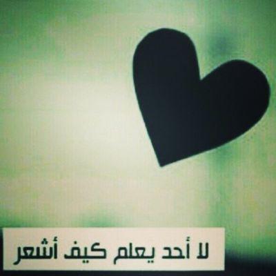 jamalAlzadjail's profile picture. جمال  الزدجالي