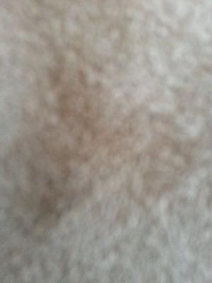 KreulKathy's profile picture. 