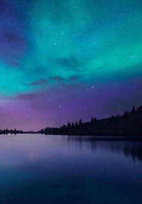 FlacaBrits's profile picture. 