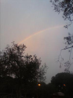 la_isabel88811's profile picture. 