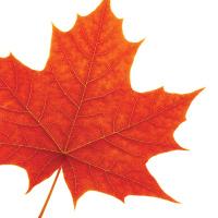Laurier Kinesiology (@laurierkin) 's Twitter Profile