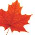 Laurier Kinesiology (@laurierkin) Twitter profile photo Laurier Kinesiology (@laurierkin) Twitter profile photo