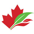 Canada_Naturals's profile picture. We are offering chewable, Canadian & convenient health supplements!