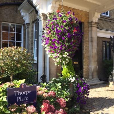 TE_Alumni's profile picture. Celebrating the TASIS England alumni community. Tag us (@TE_Alumni) in your tweets for a retweet. Email: alumni@tasisengland.org