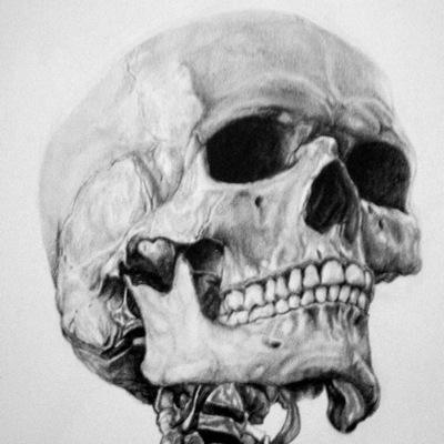 gazgeo's profile picture. #nufc #northumberland #edgworth #haltwhistle