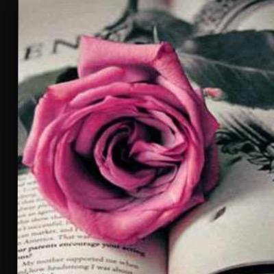 KwSuns's profile picture. كلنا لاهبت الذكرى نحن  / الله يعز الكويت