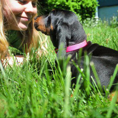 Kamenzie13's profile picture. 