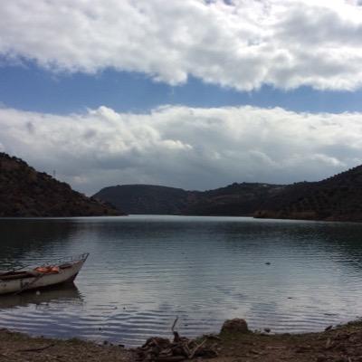 cubotbot's profile picture. hiho