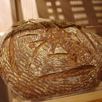 Batard Boulangerie(@batardbakery) 's Twitter Profile Photo