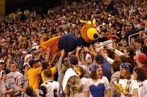 Frisches's profile picture. Here for sports stuff...usually