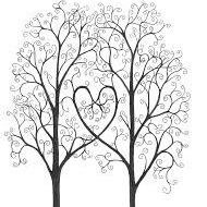 treeoftheweek's profile picture. 