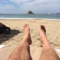The Hoff (@hofferchris) 's Twitter Profile Photo The Hoff (@hofferchris) 's Twitter Profile Photo