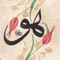 SADE VATANDAŞ (@ersinkutluay) Twitter profile photo