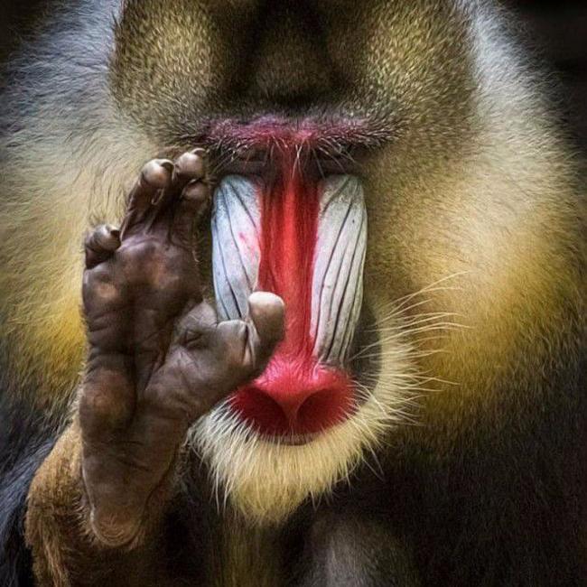 GNFsorgo's profile picture. 