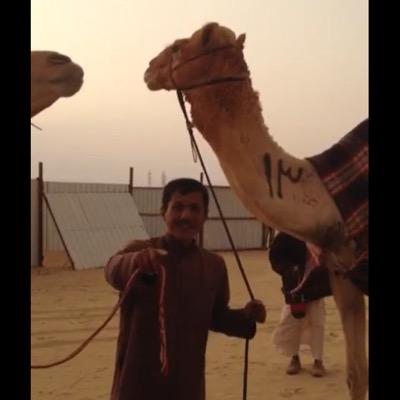 الله الوطن الامير