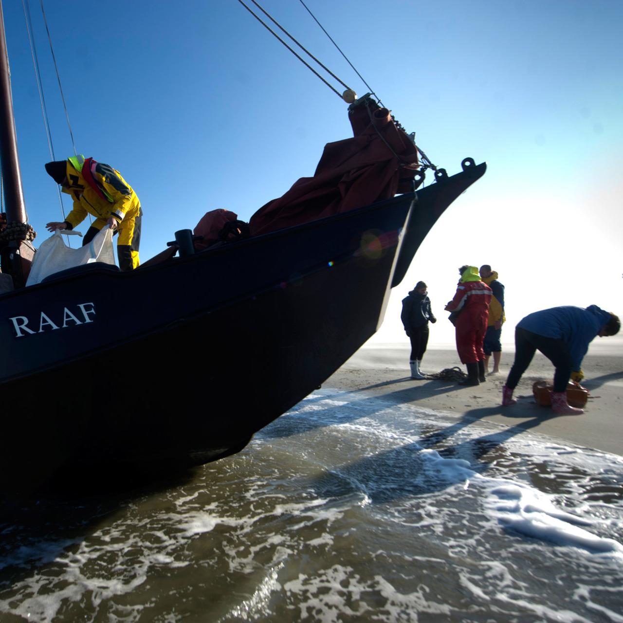 Samen iets doen aan de plastic soep in de waddenzee. Zeil mee met vissermansschouw de Raaf naar het Rif, val droog, verken de plaat en ruim op!