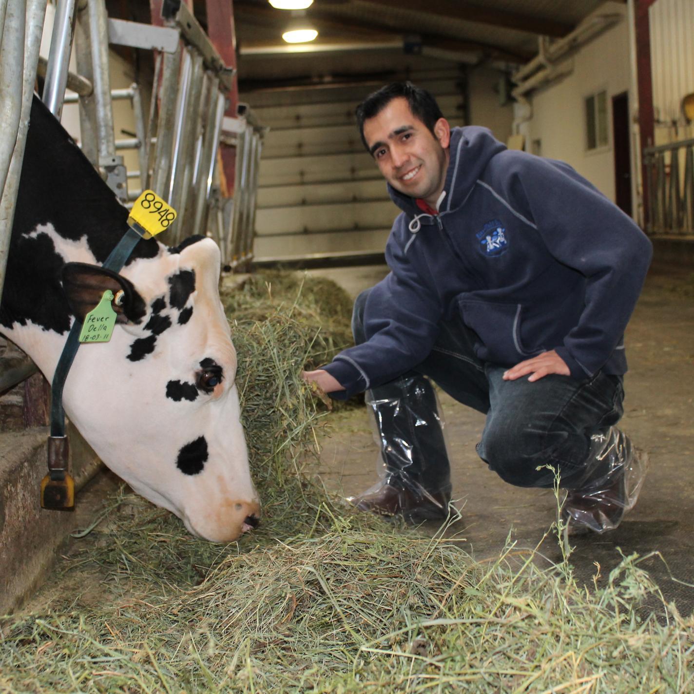 santyesp's profile picture. Passionate about the Dairy Industry, Nutrition consultant @ Nutrisource Inc