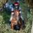 cumbriaeventing's profile image