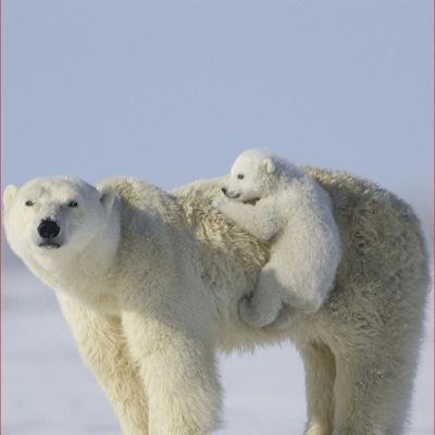 MostaphaYalmami's profile picture. 