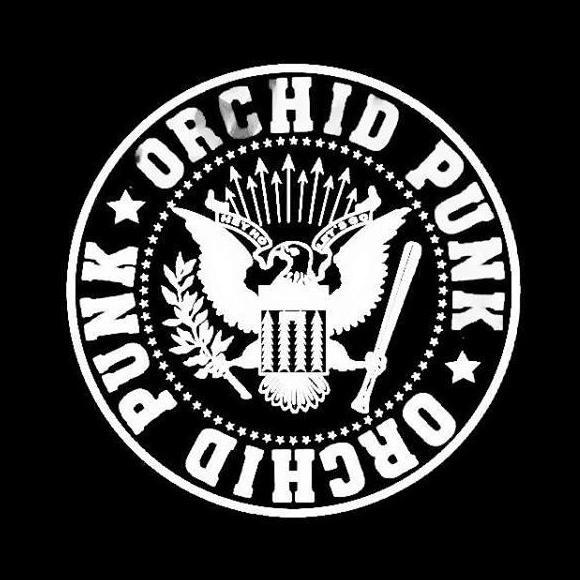 Punk, musica, radio online, eventos, bandas, difusion...
