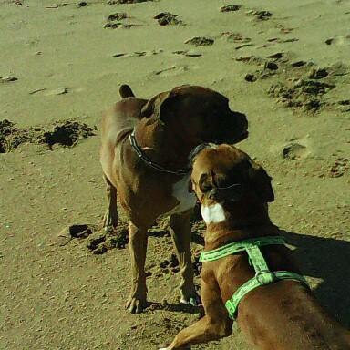 josemar73967681's profile picture. 