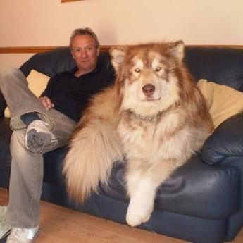 Not actually me in the picture. I just picked it for the cool dog.