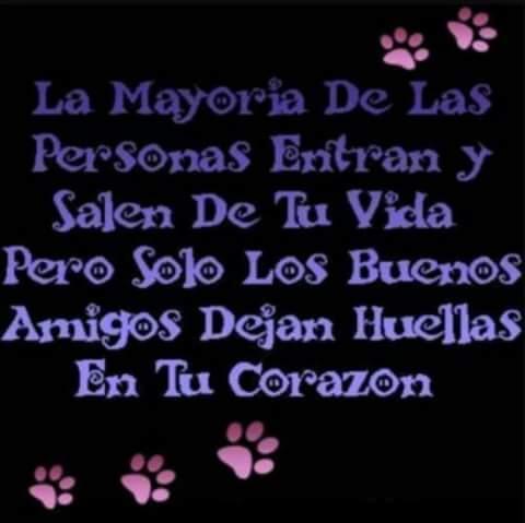 Autentico, Sencillo.! Si Dios Esta Conmigo Quien Contra Mi.!