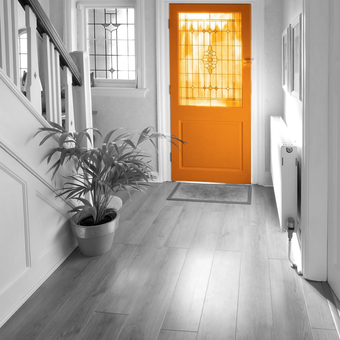 Letting agent and property management company offering landlord services.