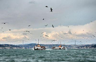 counterweightx's profile picture. we are manufacturer elevator and lift  counterweights