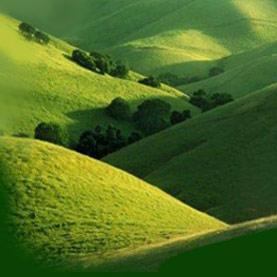 IconsLandTwit's profile picture. Icons-Land is an Icon Design Studio that offers Royalty-Free Stock Icons and Custom Icon Design Service