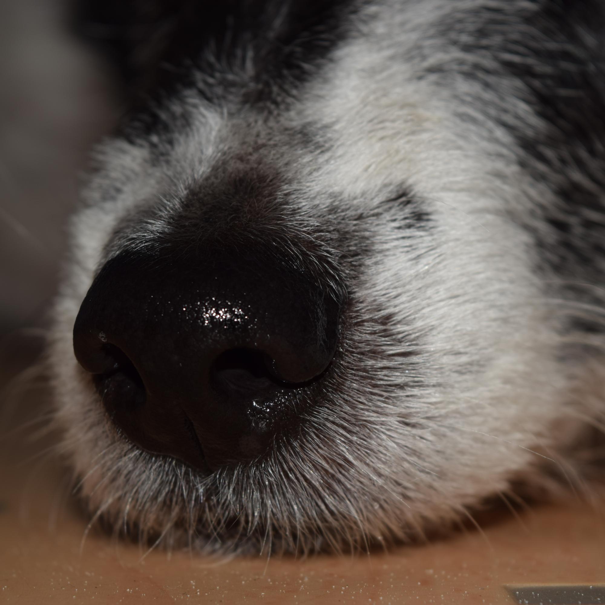 QuidamEla's profile picture. Mum of two boys. By day a publishing editor, by night a wannabe writer. I'm currently on maternity leave and studying proofreading and copyediting.